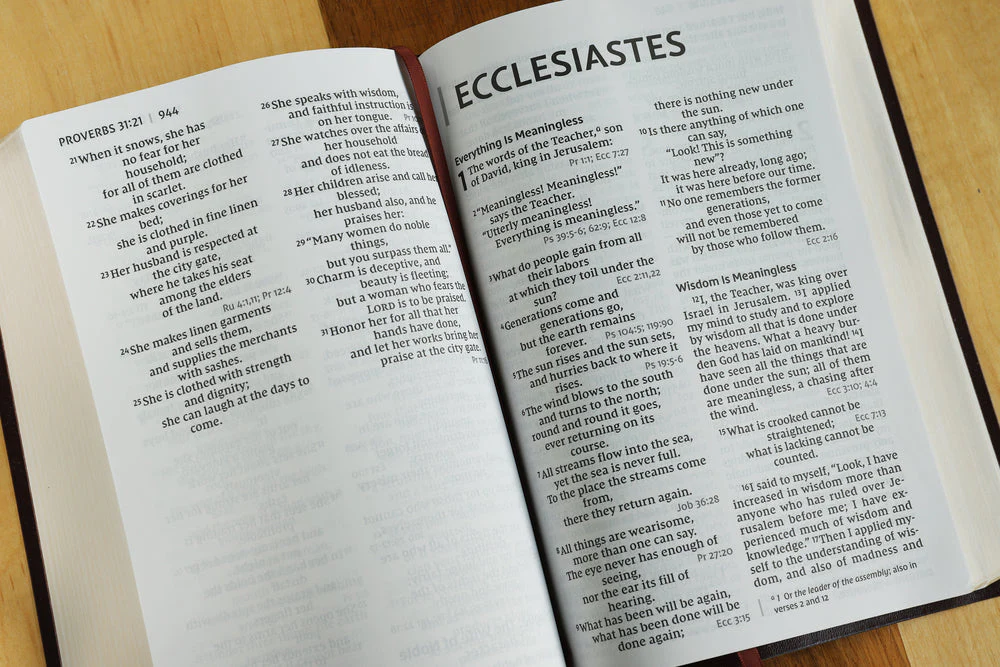 NIV, Reference Bible, Giant Print, Red Letter Edition, Comfort Print - Image 85