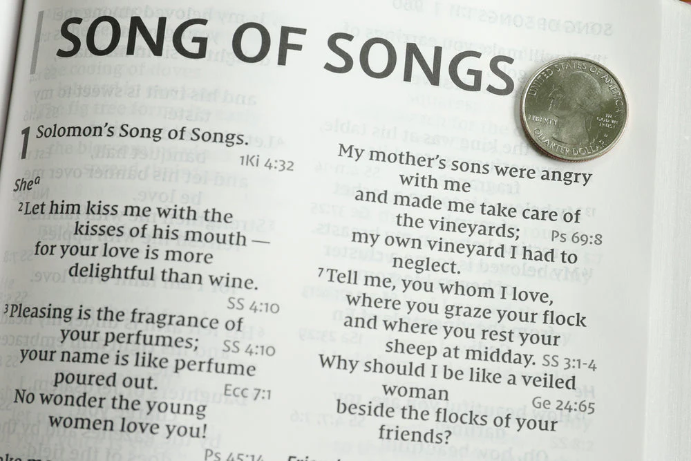 NIV, Reference Bible, Giant Print, Red Letter Edition, Comfort Print - Image 86