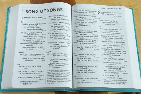 NIV, Super Giant Print Reference Bible, Red Letter Edition, Comfort Print - Image 29