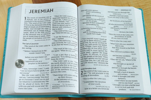 NIV, Super Giant Print Reference Bible, Red Letter Edition, Comfort Print - Image 30