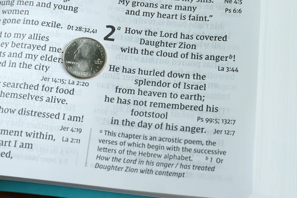 NIV, Super Giant Print Reference Bible, Red Letter Edition, Comfort Print - Image 31