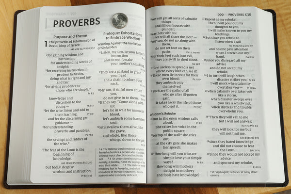 NIV, Super Giant Print Reference Bible, Red Letter Edition, Comfort Print - Image 37