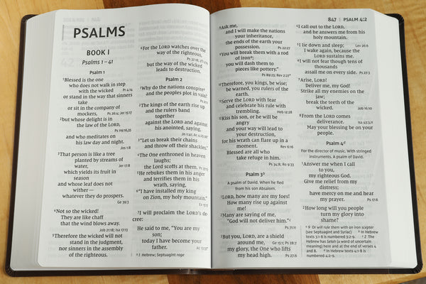 NIV, Super Giant Print Reference Bible, Red Letter Edition, Comfort Print - Image 39