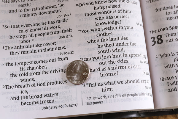 NIV, Super Giant Print Reference Bible, Red Letter Edition, Comfort Print - Image 44