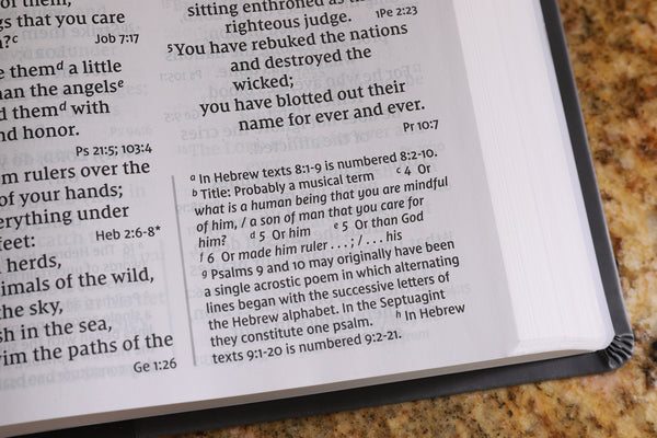 NIV, Super Giant Print Reference Bible, Red Letter Edition, Comfort Print - Image 45