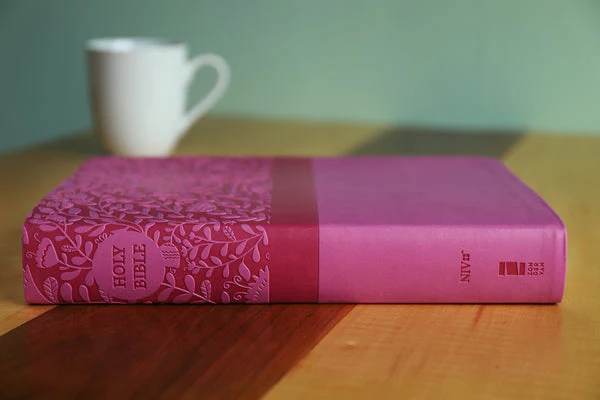 NIV, Super Giant Print Reference Bible, Red Letter Edition, Comfort Print - Image 51