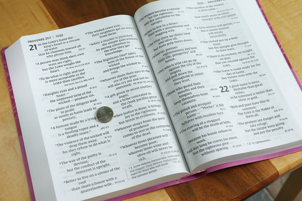 NIV, Super Giant Print Reference Bible, Red Letter Edition, Comfort Print - Image 54