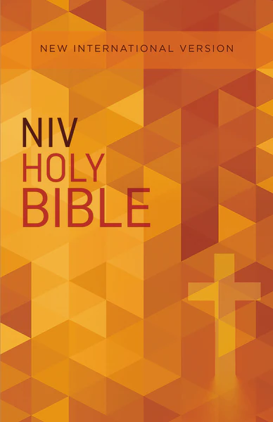 NIV, Value Outreach Bible - Image 3