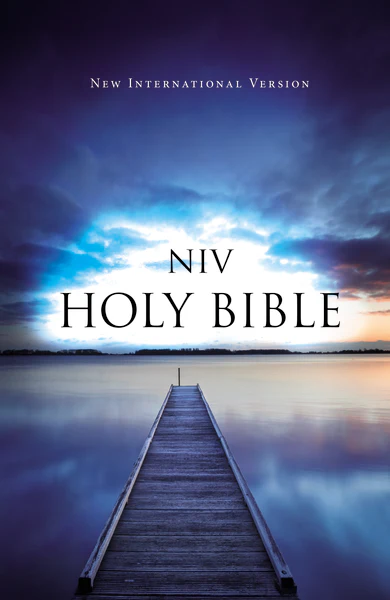 NIV, Value Outreach Bible - Image 5