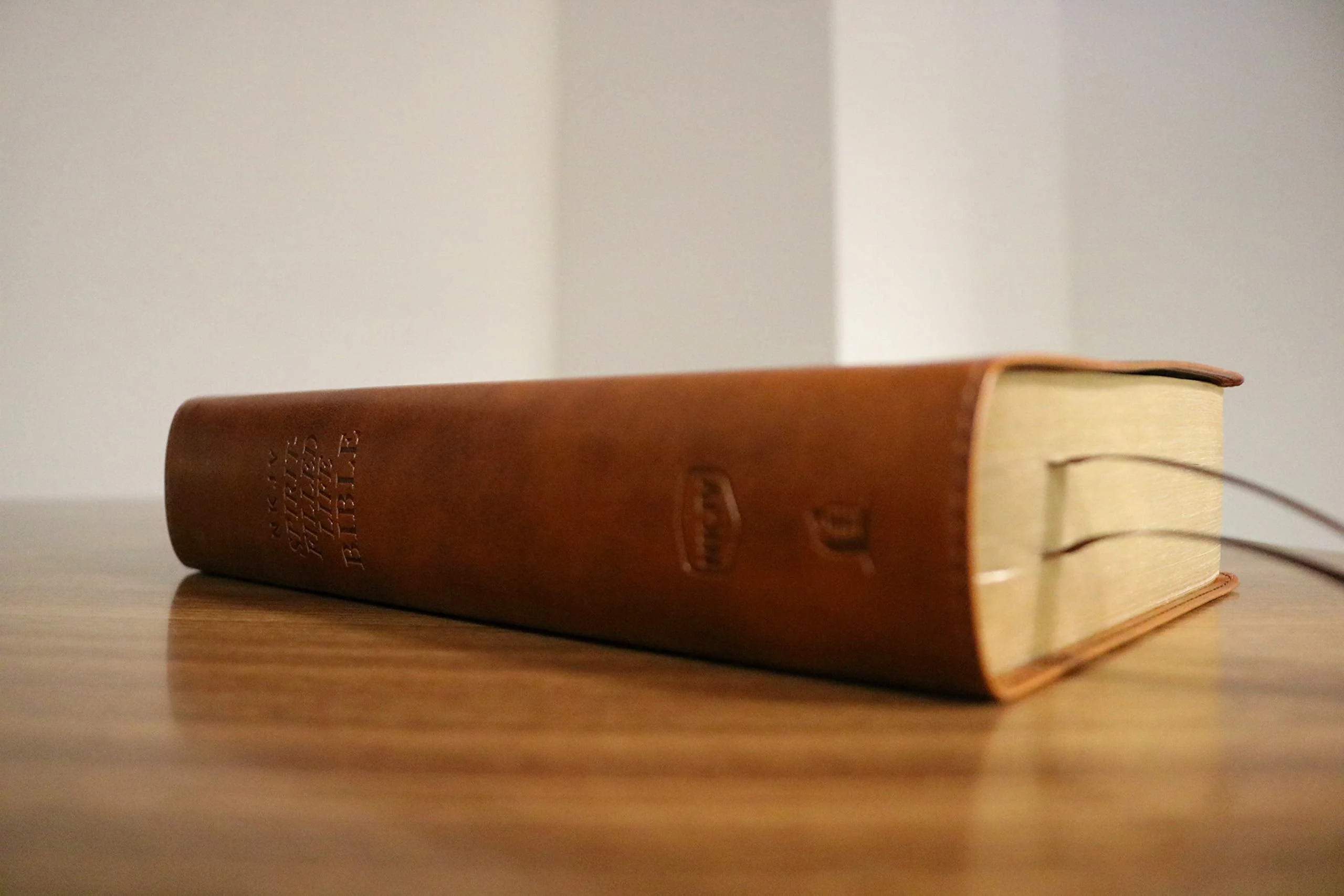 NKJV, Spirit-Filled Life Bible, Third Edition, Red Letter Edition, Comfort Print: Kingdom Equipping Through the Power of the Word - Image 48