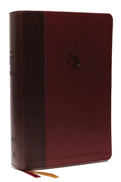 NKJV, Spirit-Filled Life Bible, Third Edition, Red Letter Edition, Comfort Print: Kingdom Equipping Through the Power of the Word - Image 5