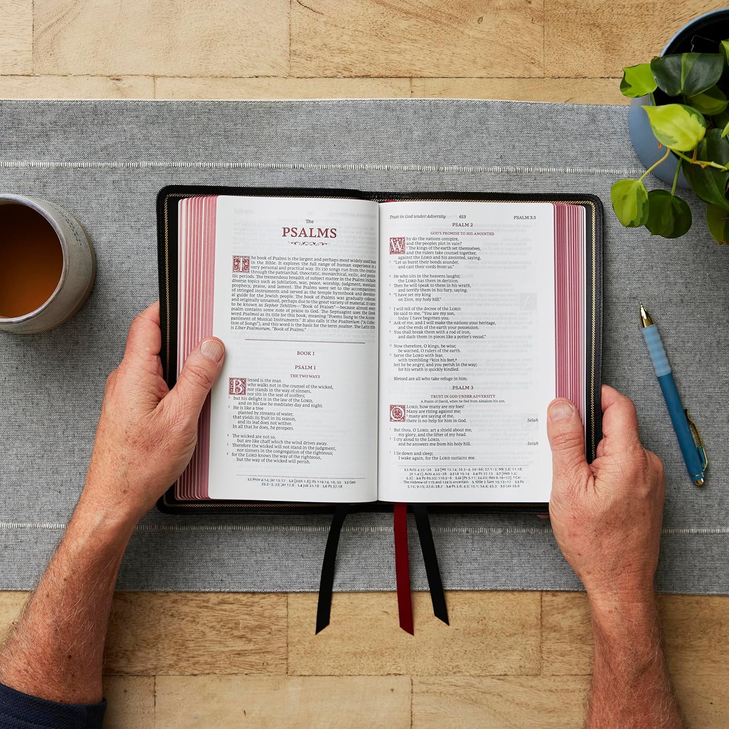 RSV Personal Size Bible with Cross References (Sovereign Collection) - Image 78