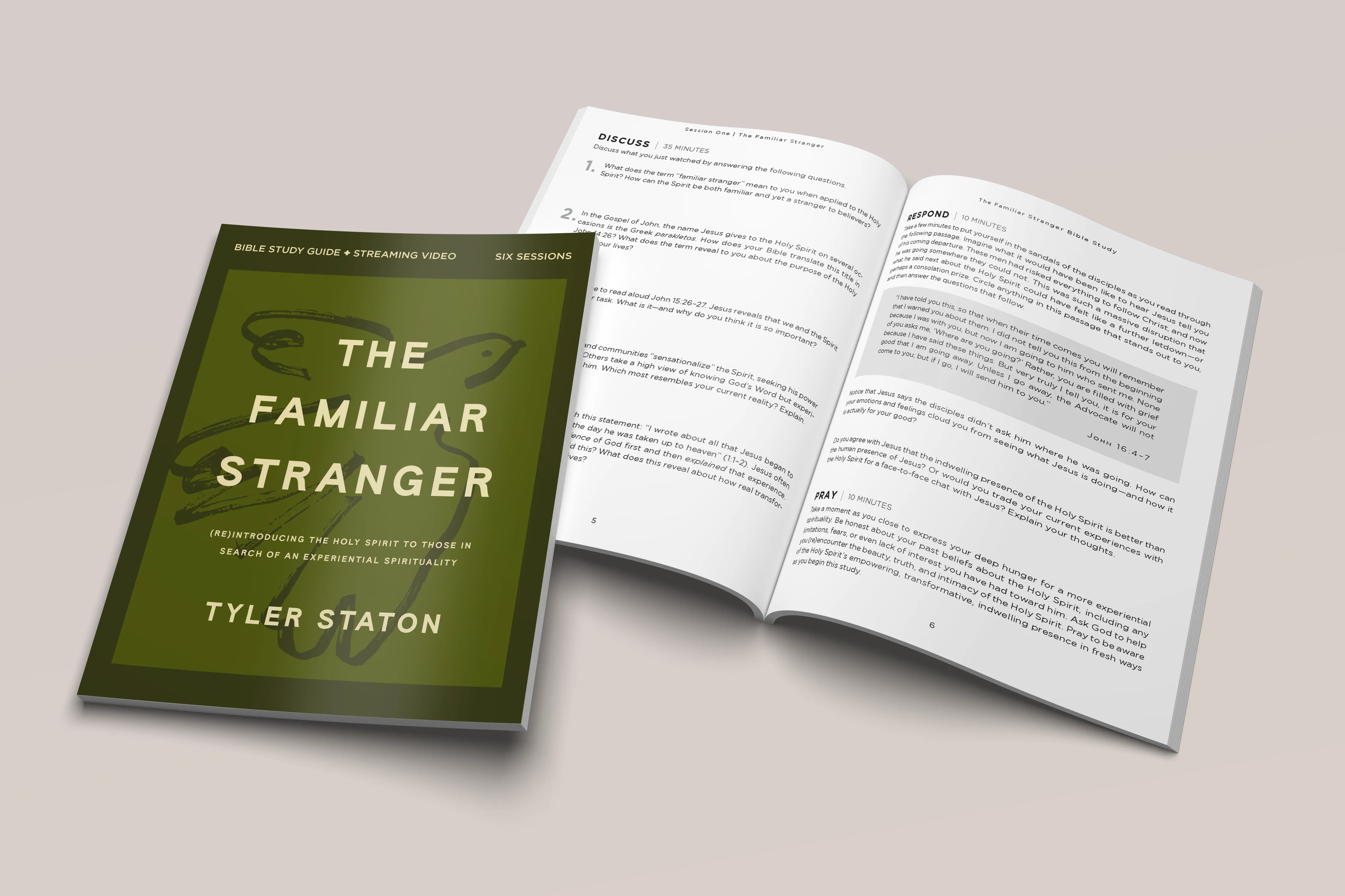 The Familiar Stranger Bible Study Guide plus Streaming Video: (Re)introducing the Holy Spirit to Those in Search of an Experiential Spirituality - Image 3
