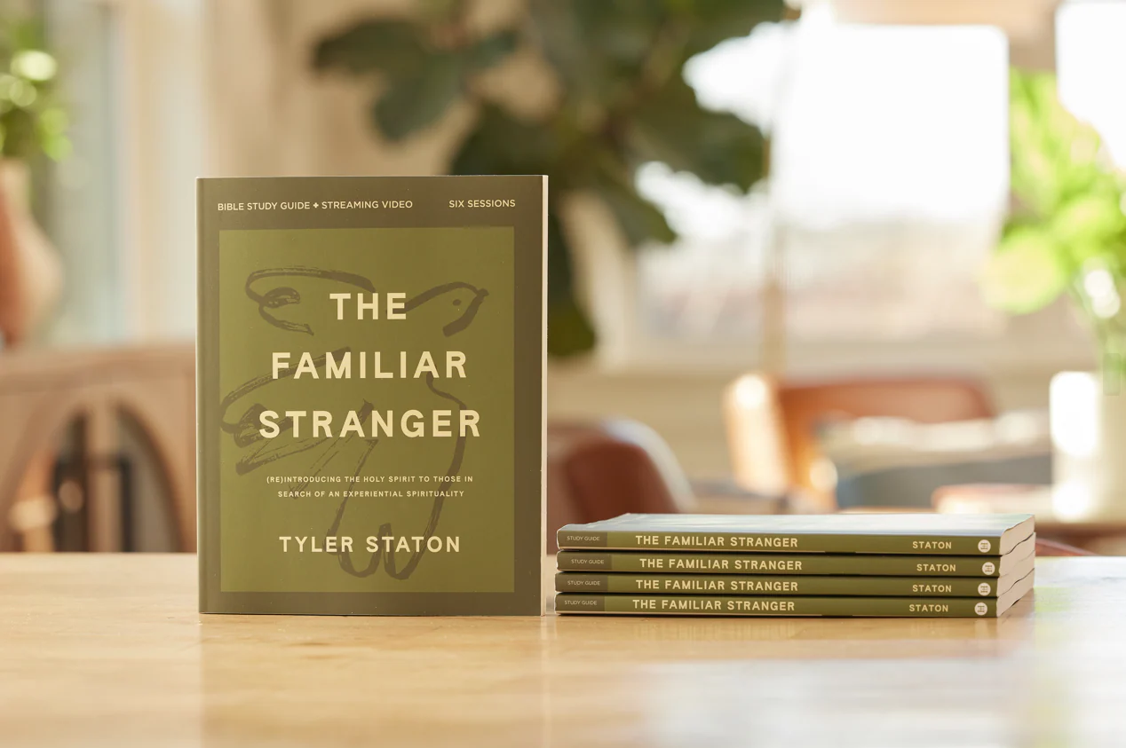 The Familiar Stranger Bible Study Guide plus Streaming Video: (Re)introducing the Holy Spirit to Those in Search of an Experiential Spirituality - Image 4