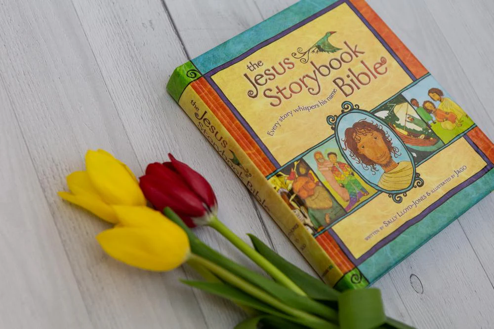The Jesus Storybook Bible: Every Story Whispers His Name - Image 19