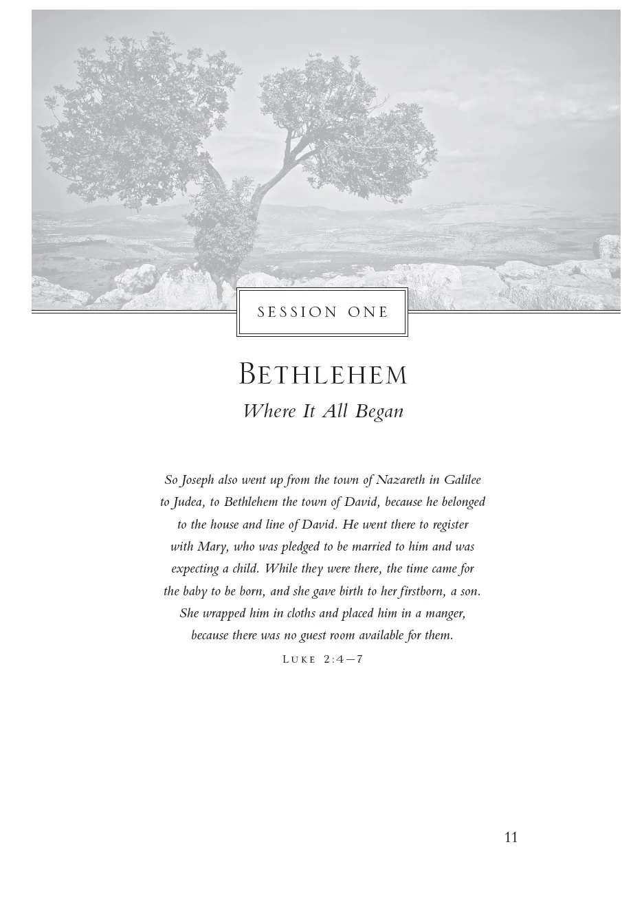 The Rock, the Road, and the Rabbi: My Journey into the Heart of Scriptural Faith and the Land Where It All Began - Image 5