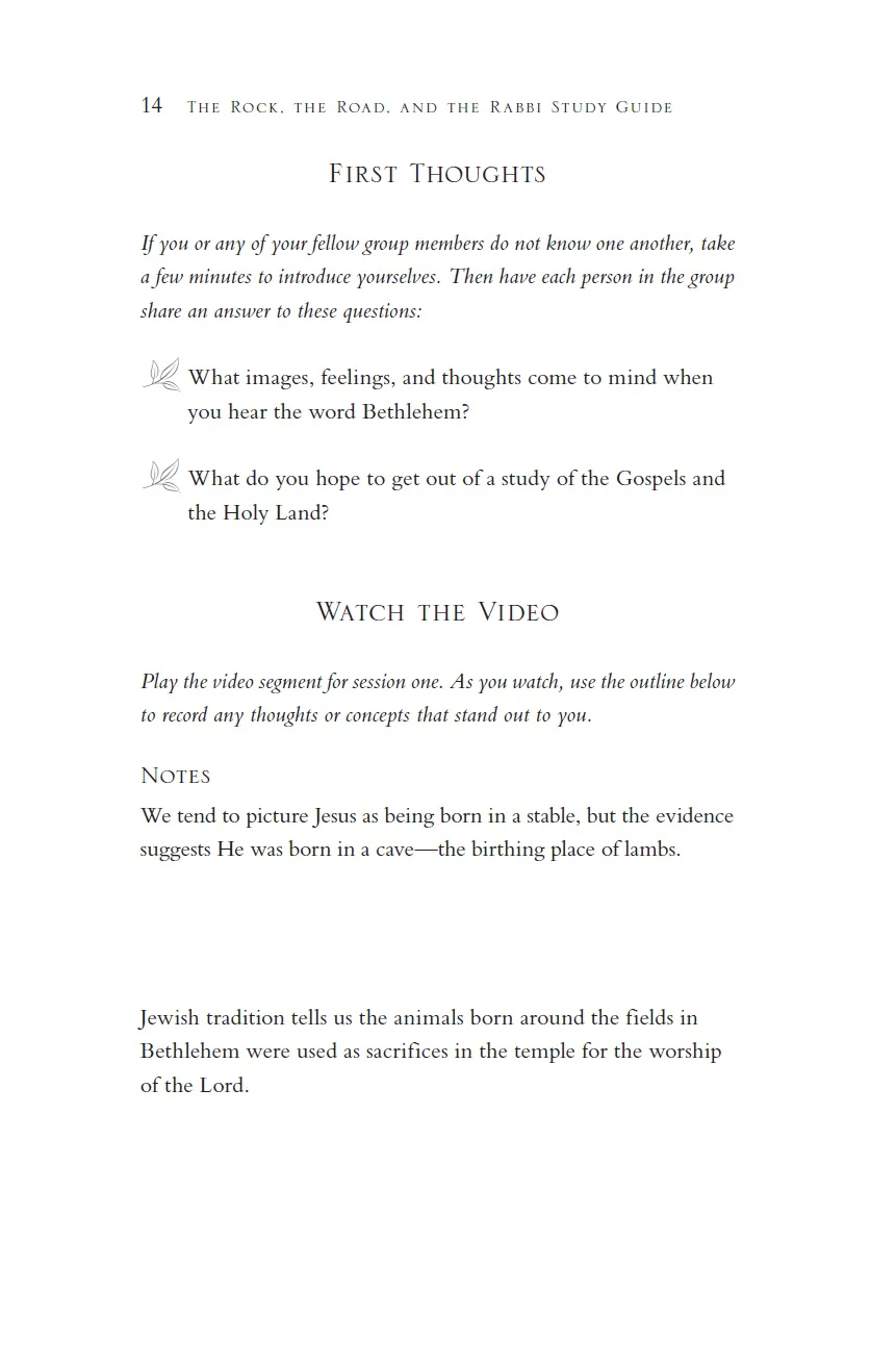 The Rock, the Road, and the Rabbi: My Journey into the Heart of Scriptural Faith and the Land Where It All Began - Image 7