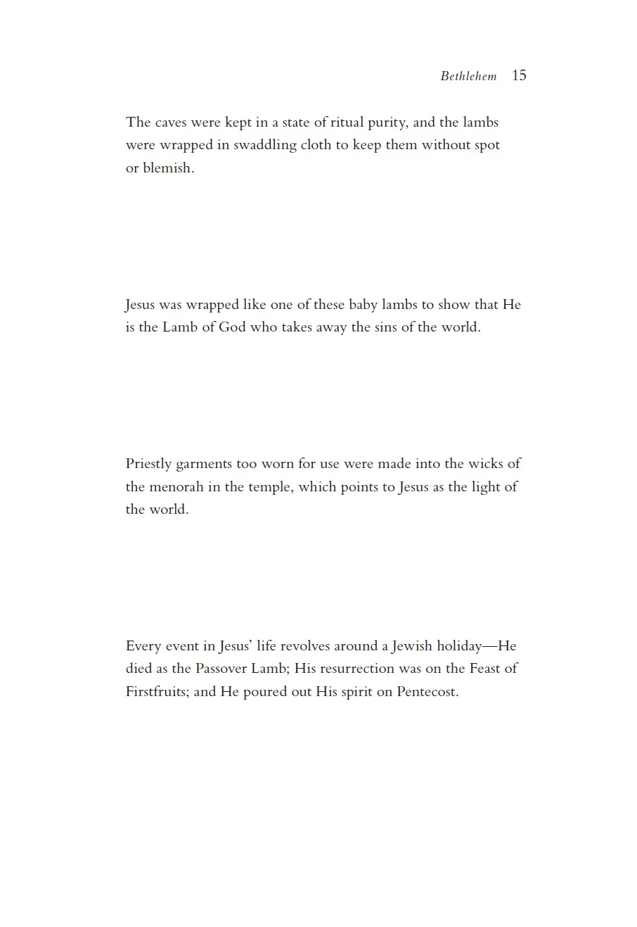 The Rock, the Road, and the Rabbi: My Journey into the Heart of Scriptural Faith and the Land Where It All Began - Image 8