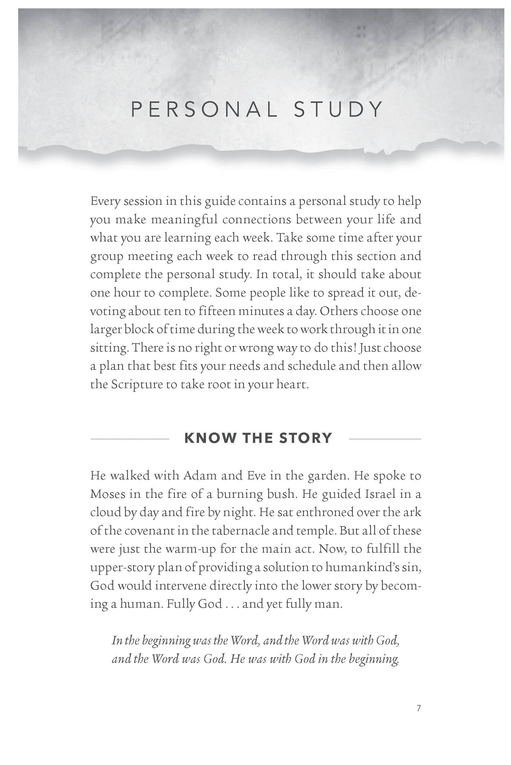 God the Savior Bible Study Guide plus Streaming Video: Our Freedom in Christ and Our Role in the Restoration of All Things - Image 11