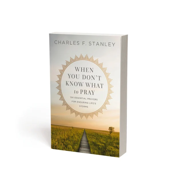 When You Don't Know What to Pray: 100 Essential Prayers for Enduring Life's Storms - Image 13